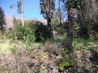 nte Cicirello-10042012 011